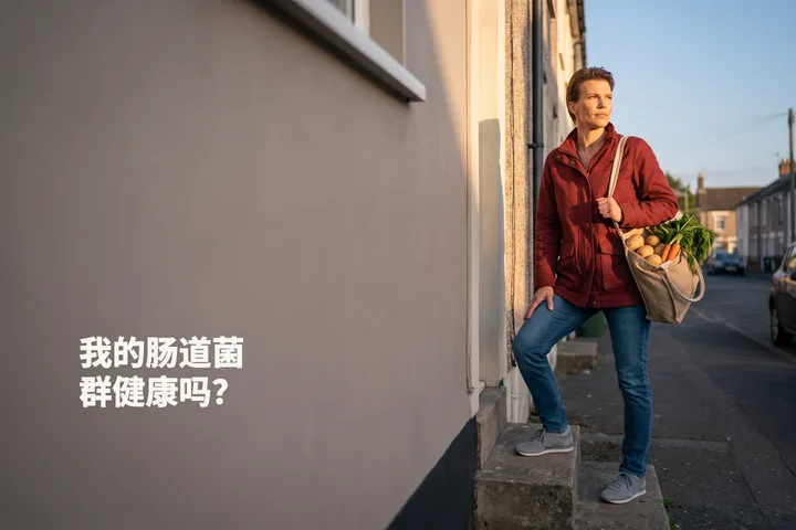 我的肠道菌群健康吗？ — 傍晚，一位女性提着一袋蔬菜走上自家门前的台阶
